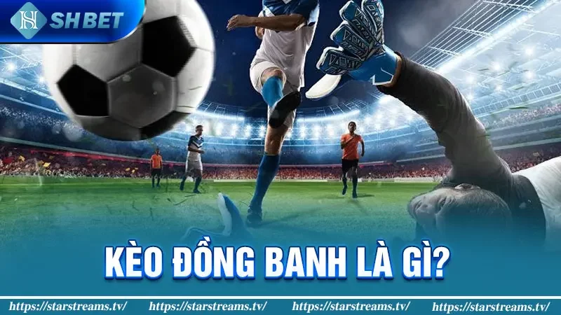Phân Tích Chi Tiết Kèo Đồng Banh Cho Tân Thủ Từ A - Z 1 Kèo đồng banh là gì?